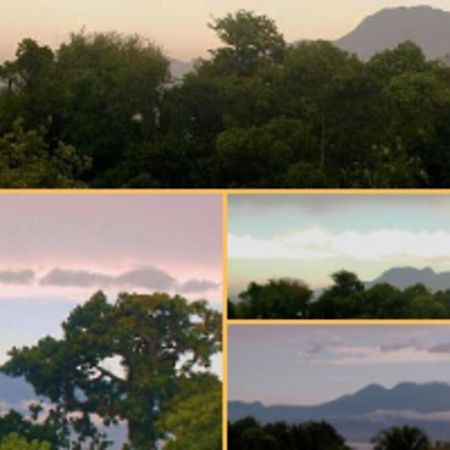 Jolie Studette Dans Un Environnement Arbore Les Abymes Bagian luar foto