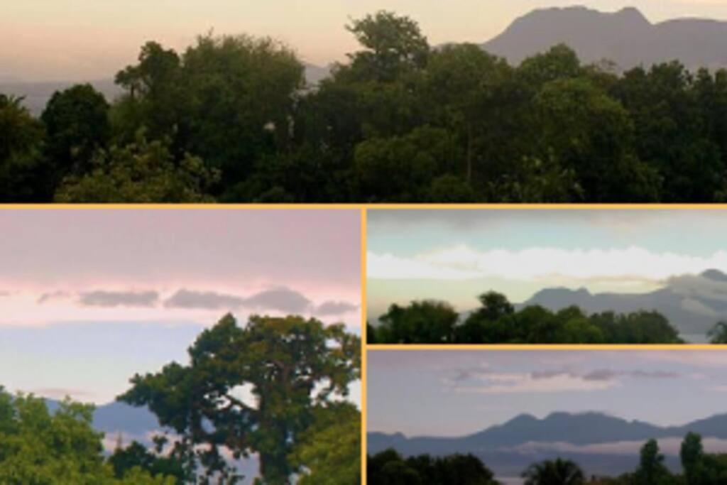 Jolie Studette Dans Un Environnement Arbore Les Abymes Bagian luar foto